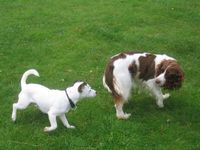 click for a larger view